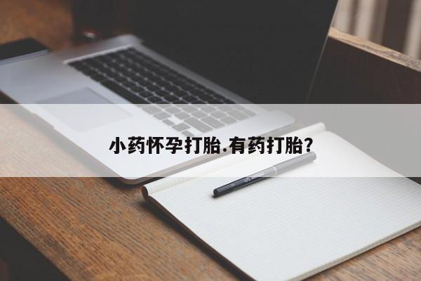 流产药联系微信小药怀孕打胎.有药打胎？