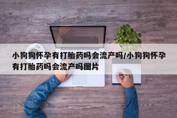 流产药联系微信小狗狗怀孕有打胎药吗会流产吗/小狗狗怀孕有打胎药吗会流产吗图片