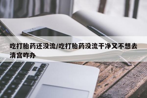 流产药联系微信吃打胎药还没流/吃打胎药没流干净又不想去清宫咋办