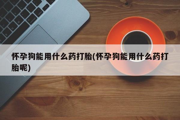 流产药联系微信怀孕狗能用什么药打胎(怀孕狗能用什么药打胎呢)