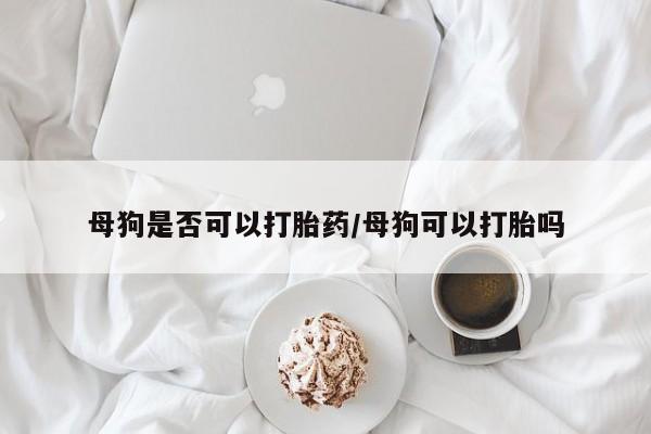 流产药联系微信母狗是否可以打胎药/母狗可以打胎吗